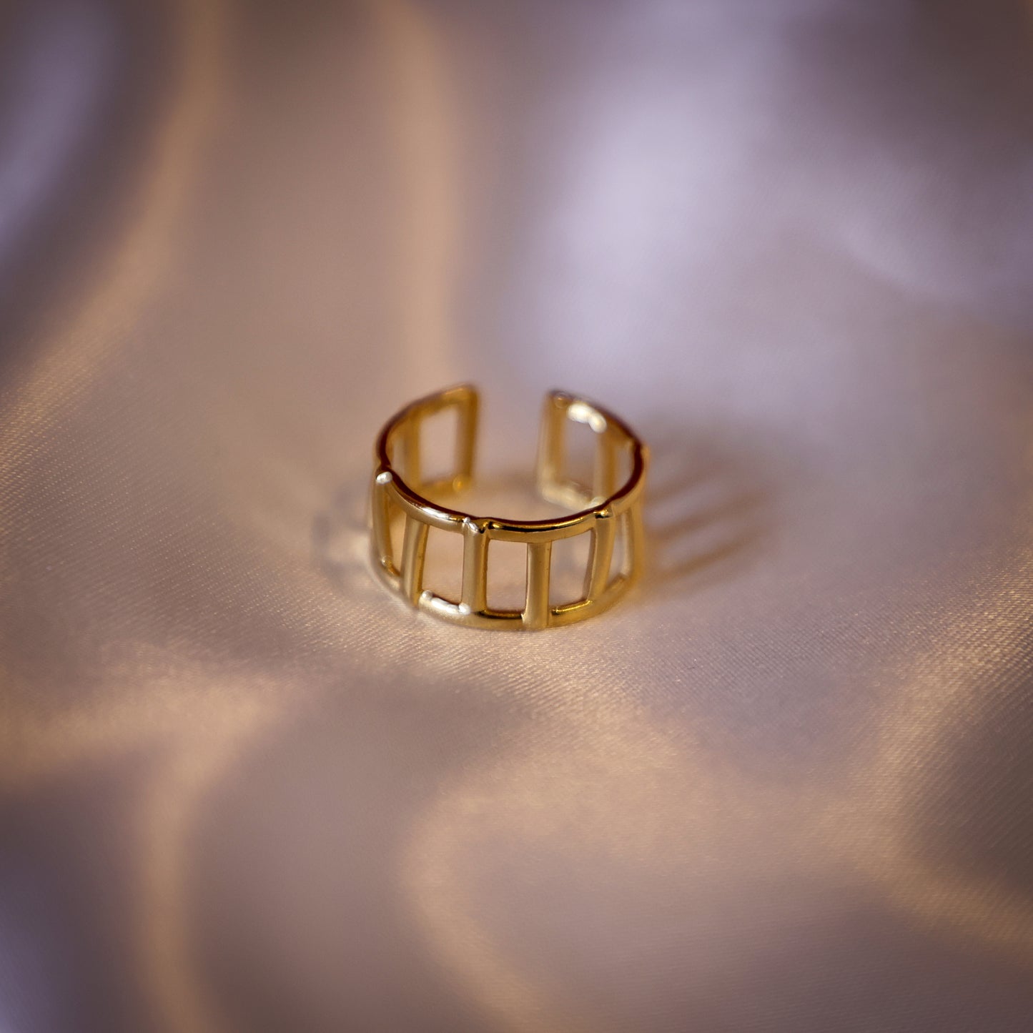 Fence designed ring