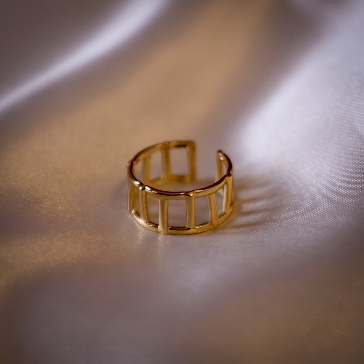 Fence designed ring