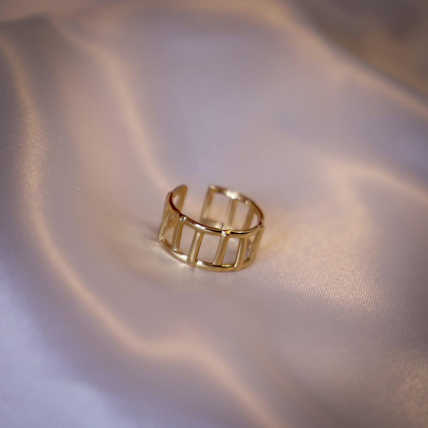 Fence designed ring